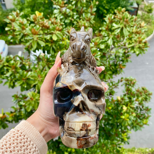 Volcano Agate Skull With Dragon