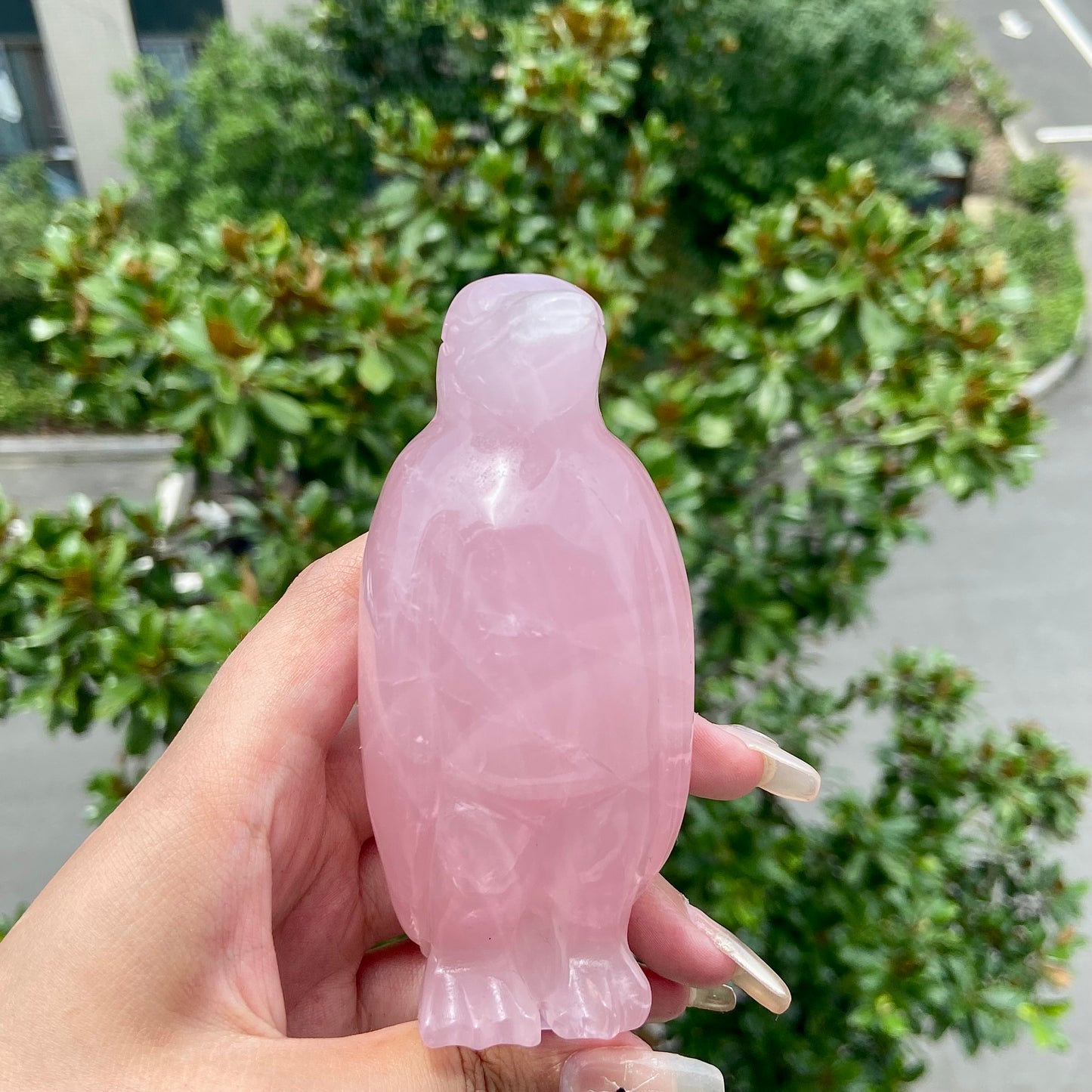 Rose Quartz Raven Crow