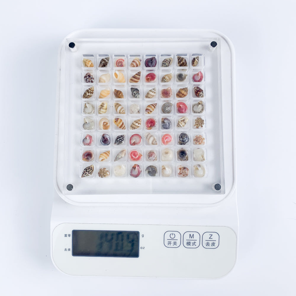 Acrylic shell collection box