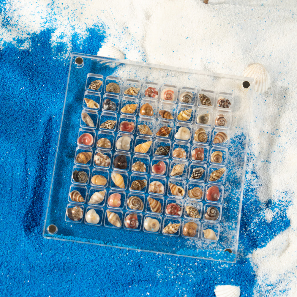 Acrylic shell collection box