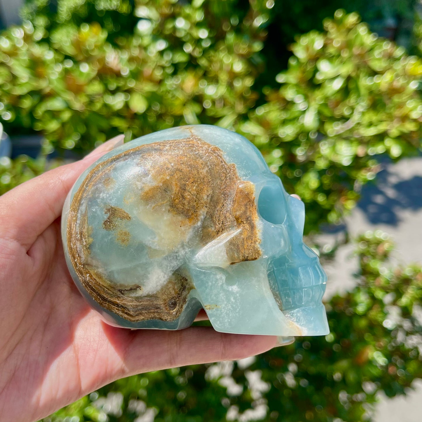 Blue Onyx Skull