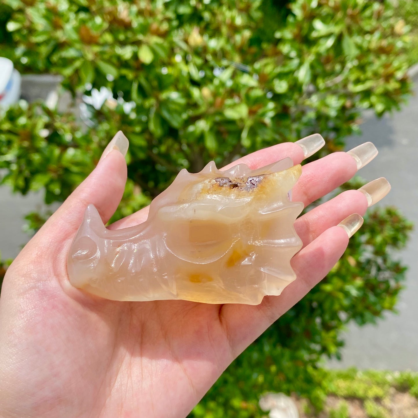 Flower agate Dragon Skull