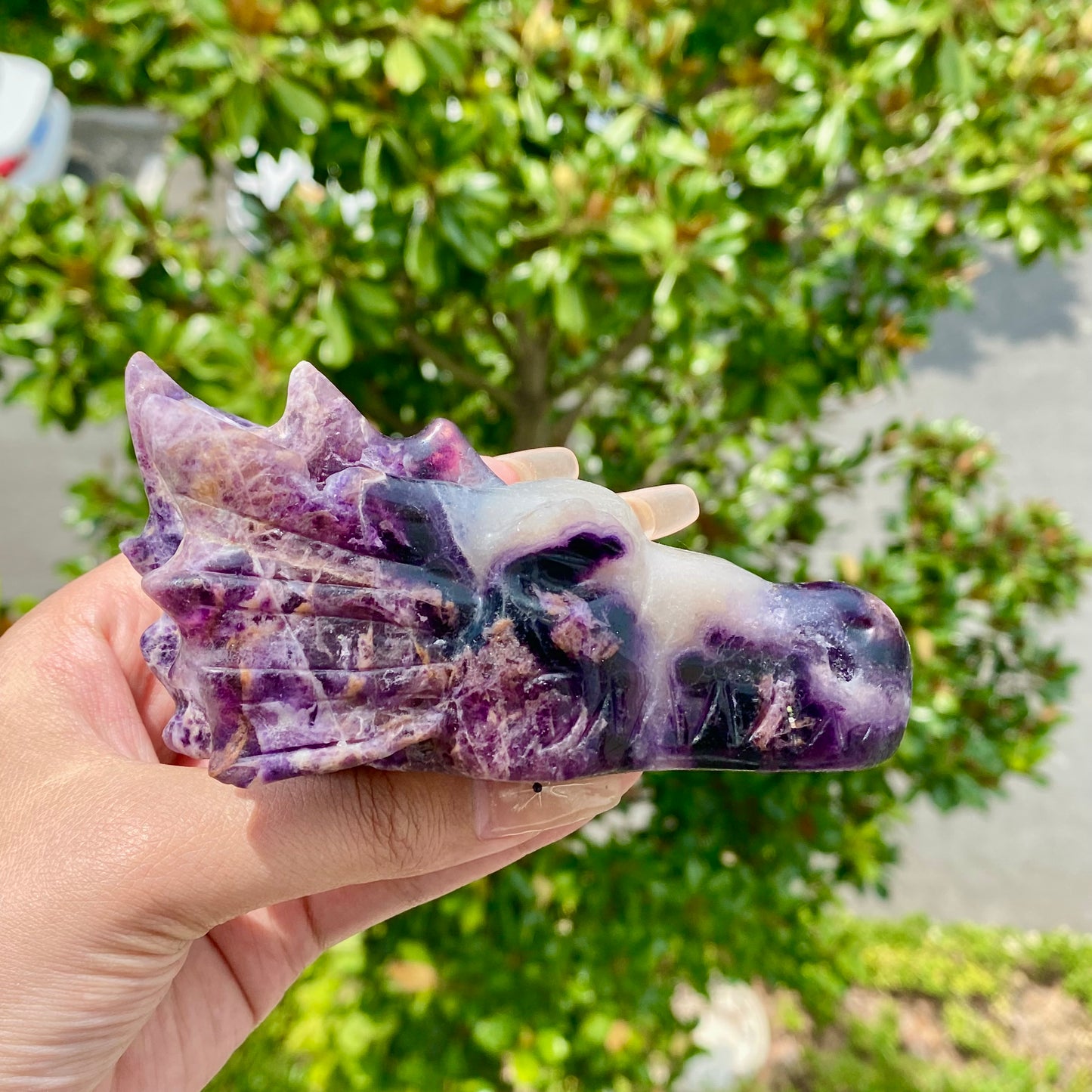 Fluorite Root Dragon Skull