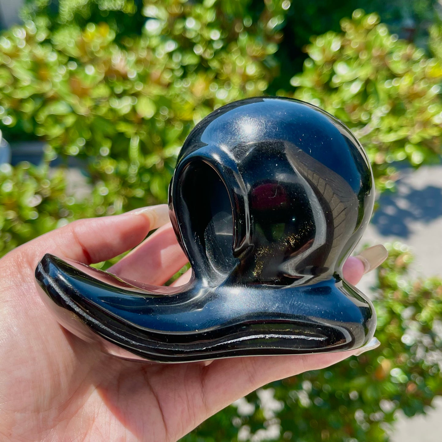 Obsidian Snail Skull