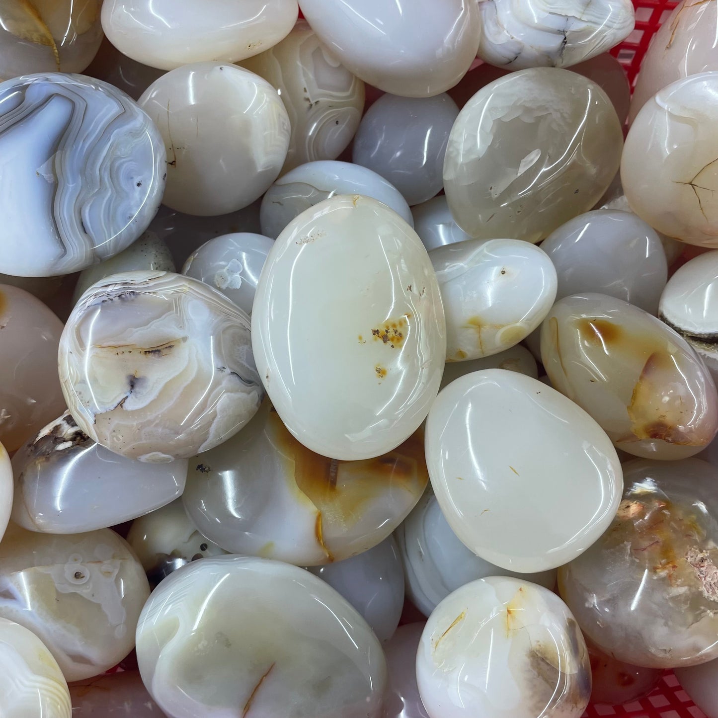 1kg White agate palm