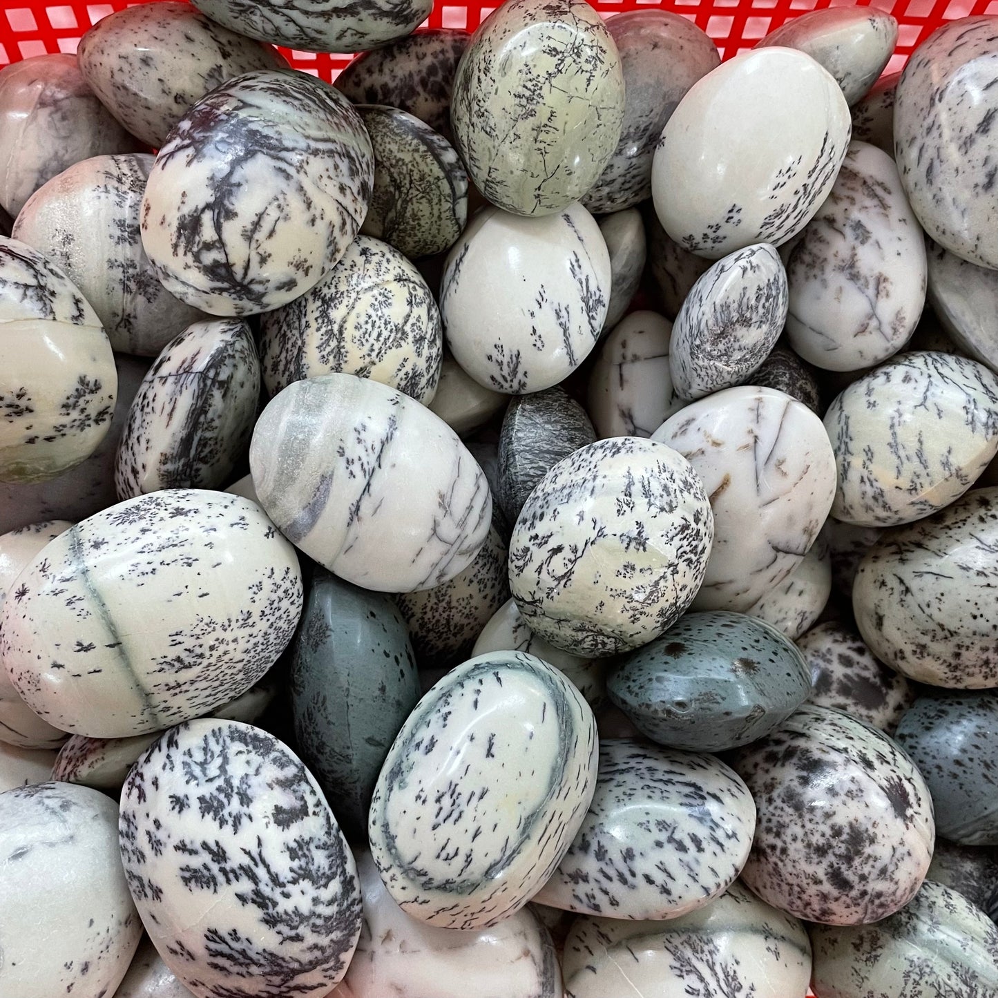 1kg Dendritic jade palm