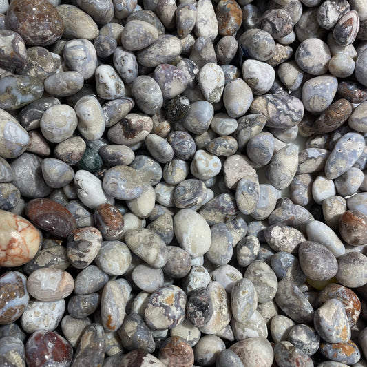 1kg Blue flower agate tumble