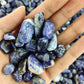 Wholesale Sodalite Chips