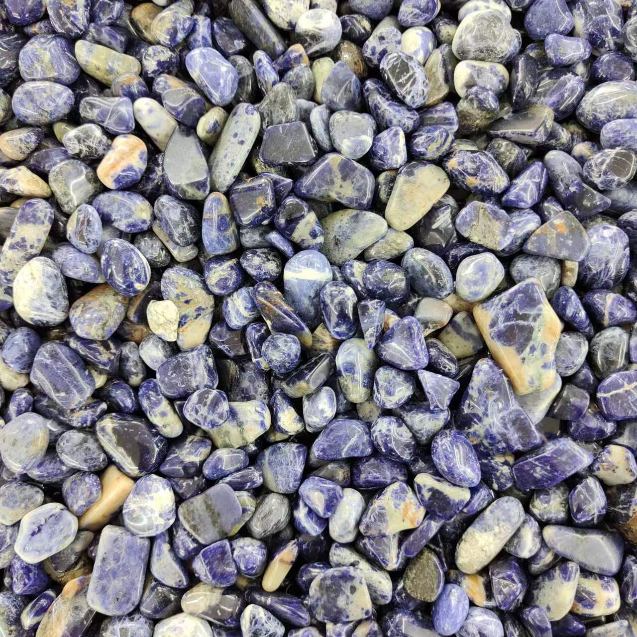 Wholesale Sodalite Chips