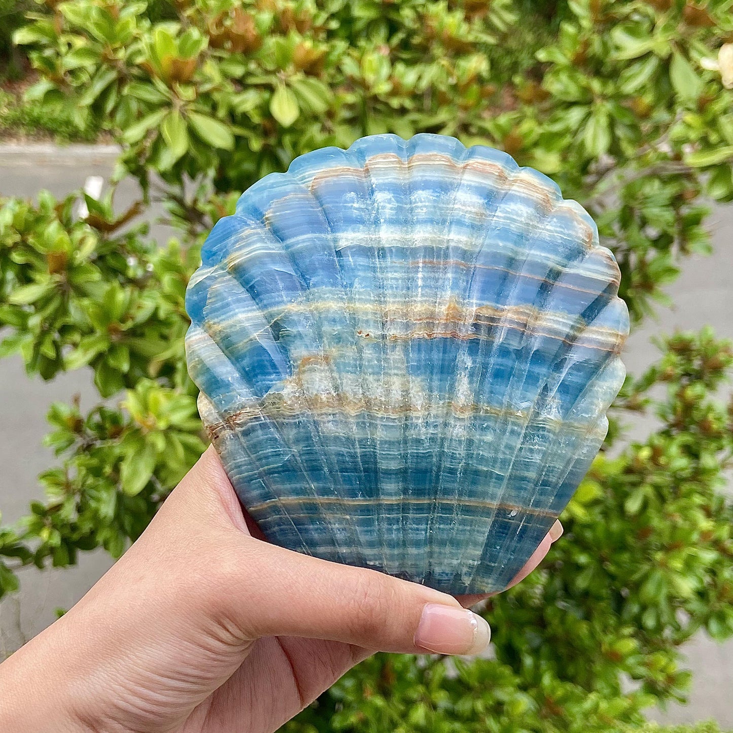 Blue Onyx Sea Shell Home Decoration Aquarium Stones Artificial Sea Ocean Do It Yourself