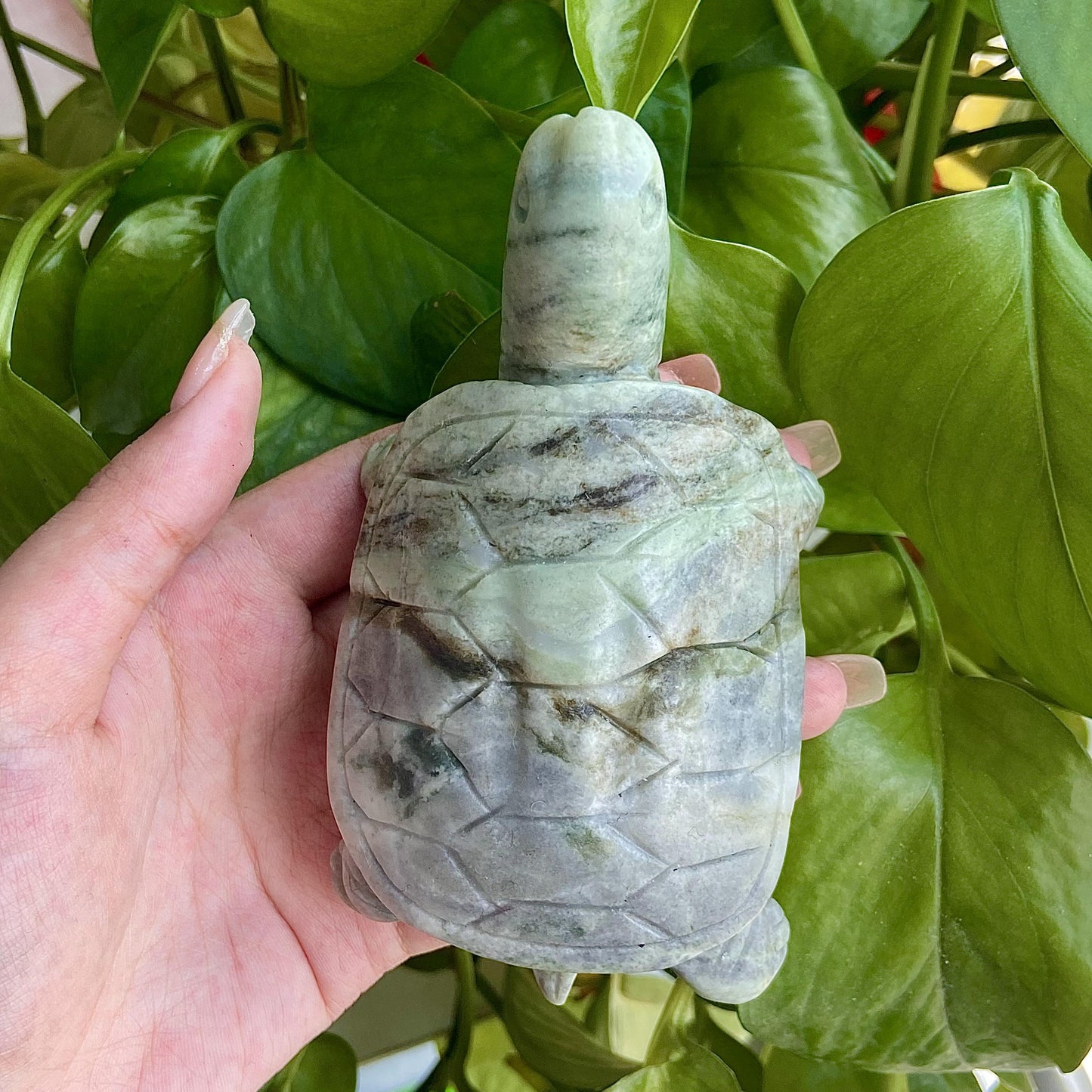 Xiuyan Jade Turtle Crystal Animal Ocean Animal Hand Carved