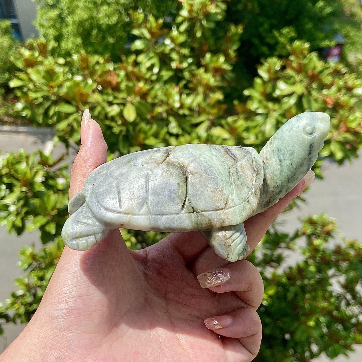 Xiuyan Jade Turtle Crystal Animal Ocean Animal Hand Carved