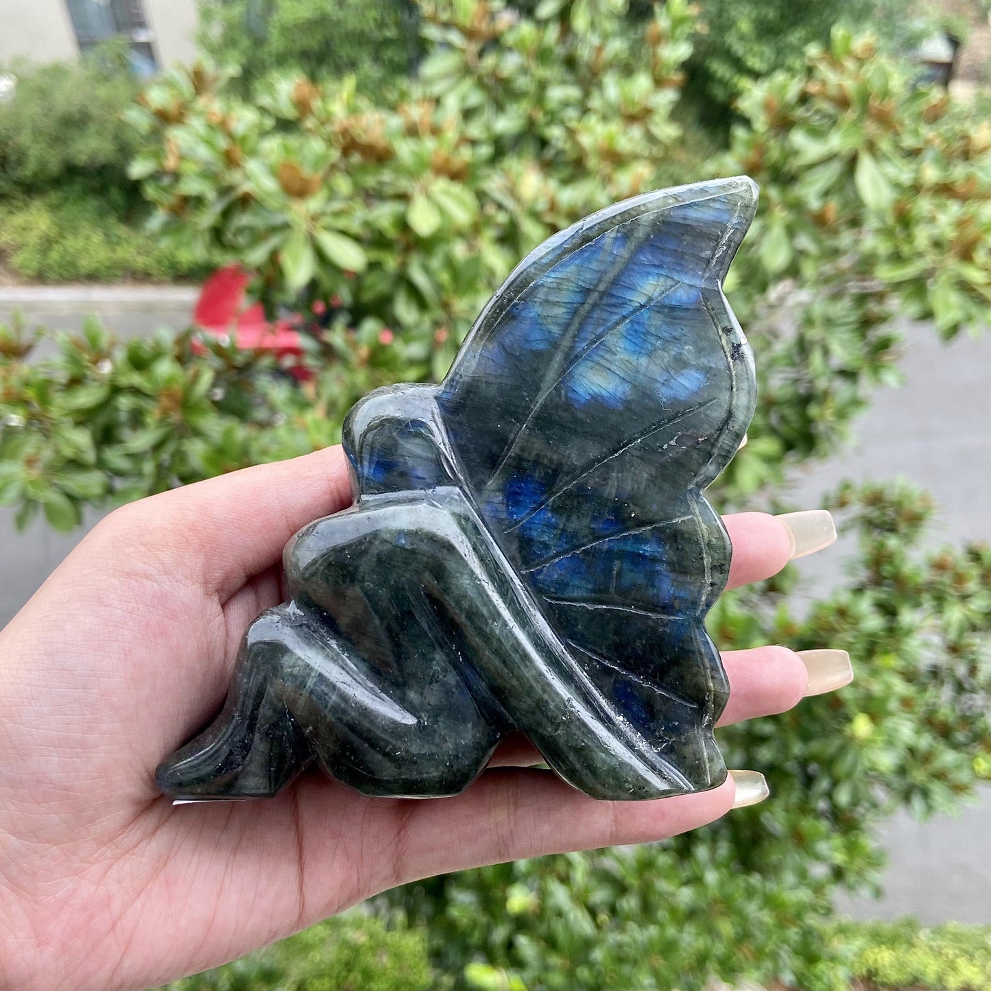 Labradorite Fairy