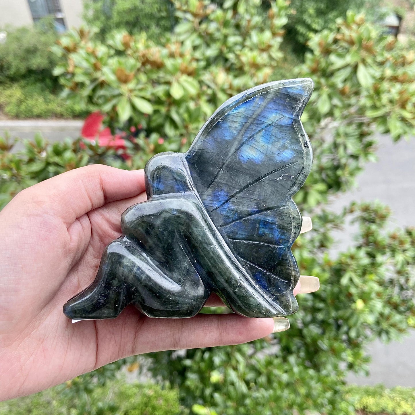 Labradorite Fairy