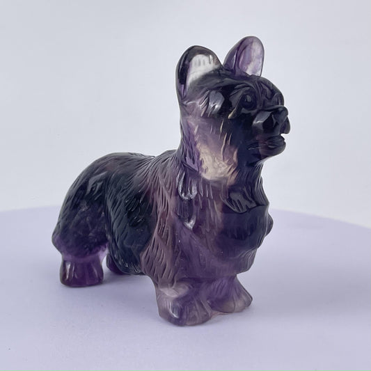 Purple fluorite dog