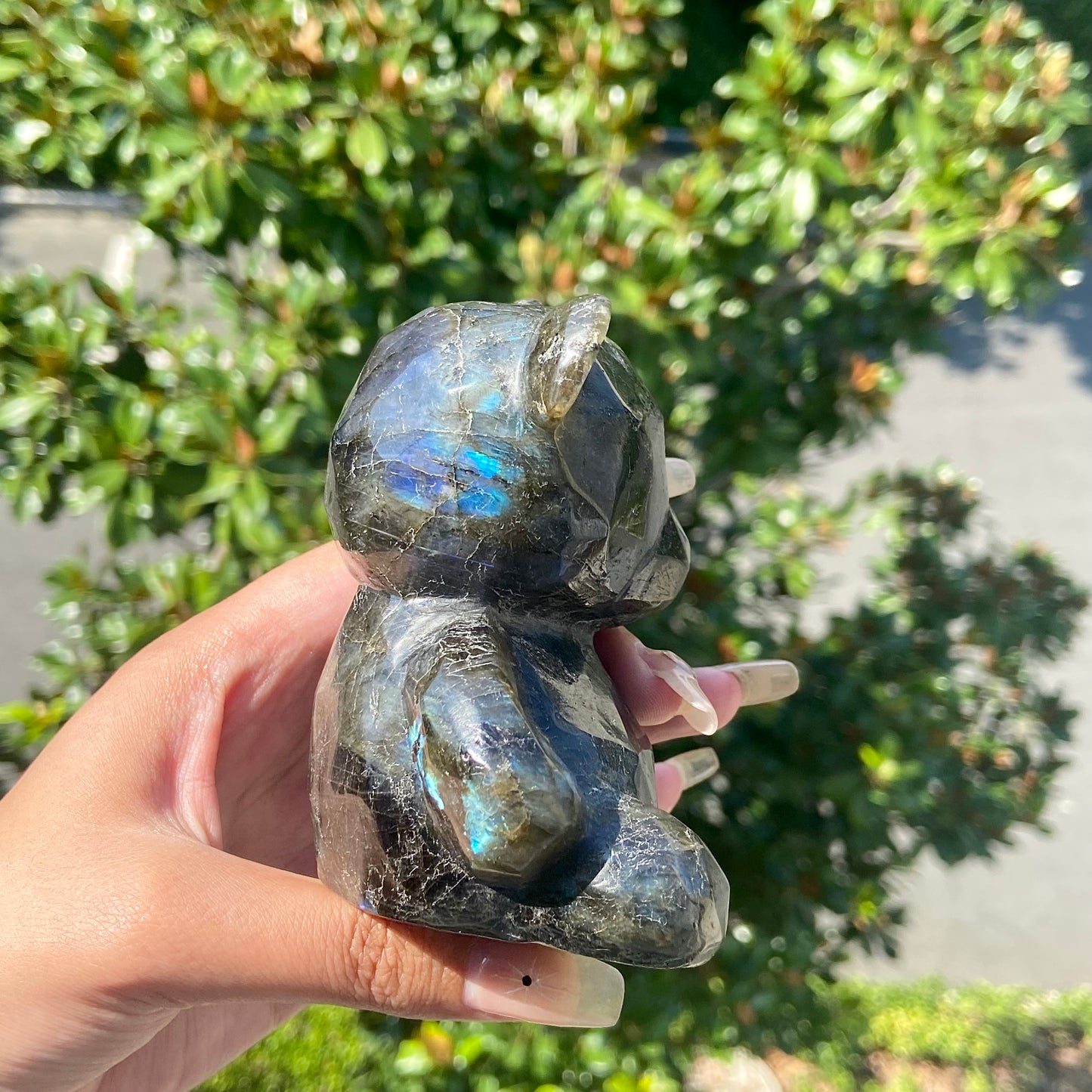 Labradorite Bear