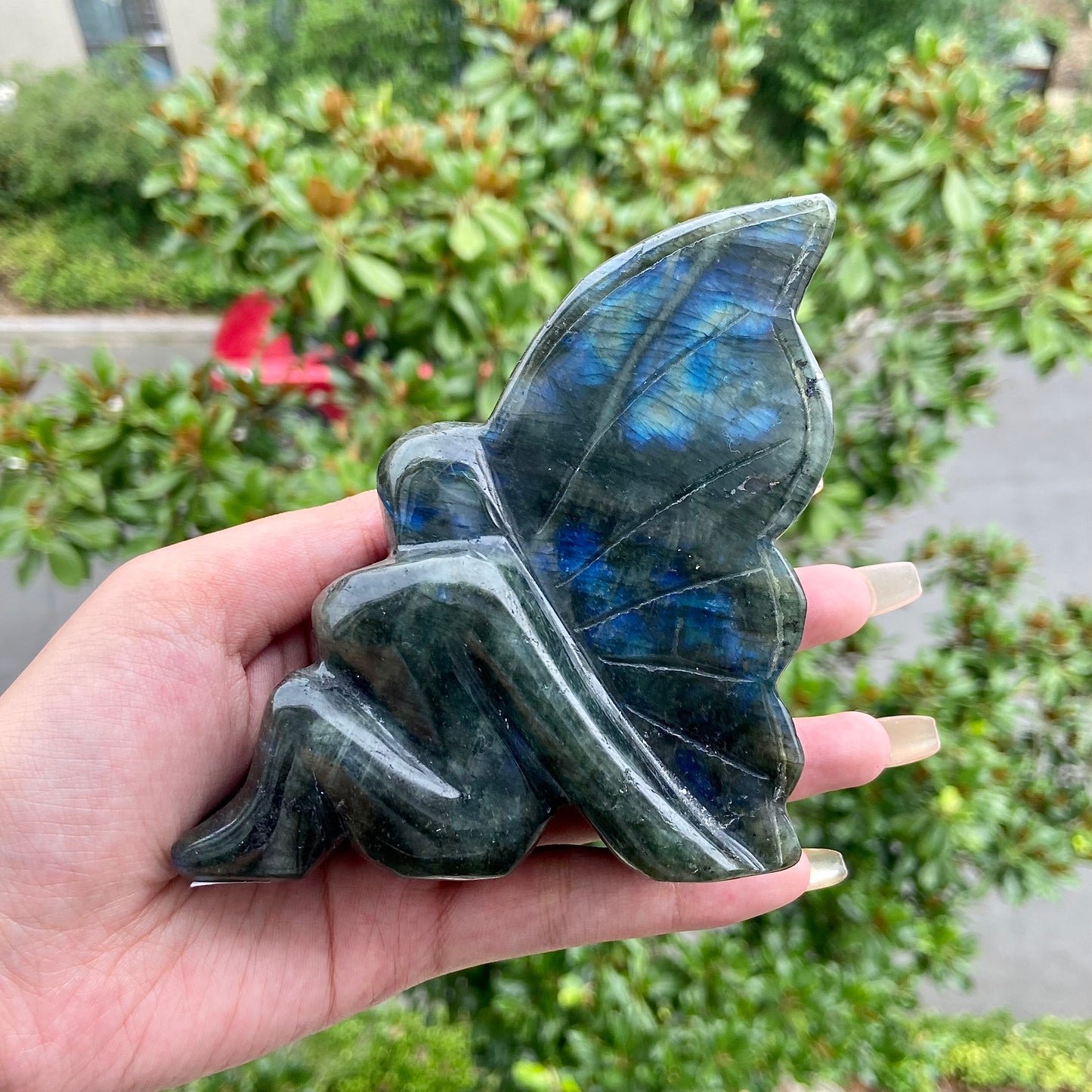 Labradorite Fairy