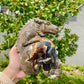 Volcano Agate Skull With Dragon