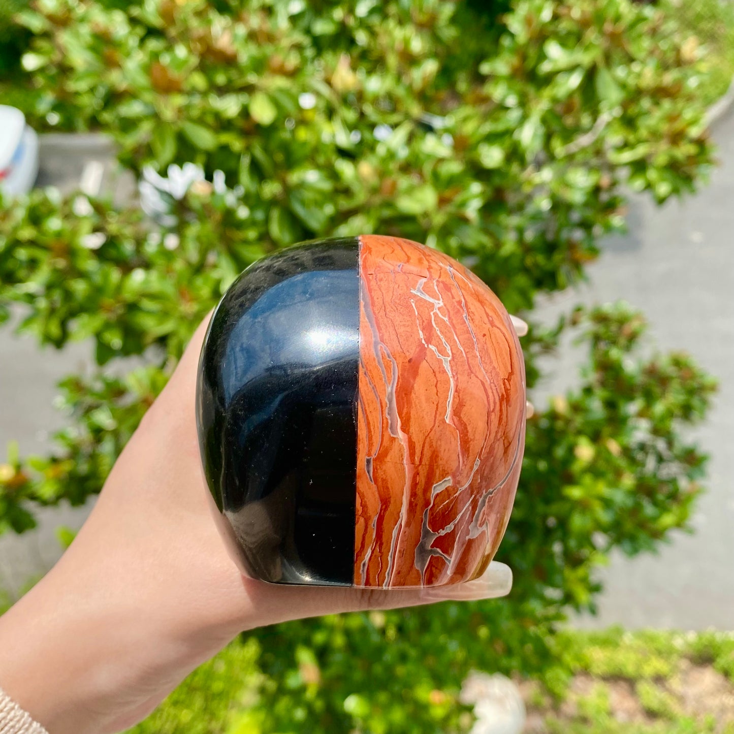 Red Jasper and Obsidian Skull