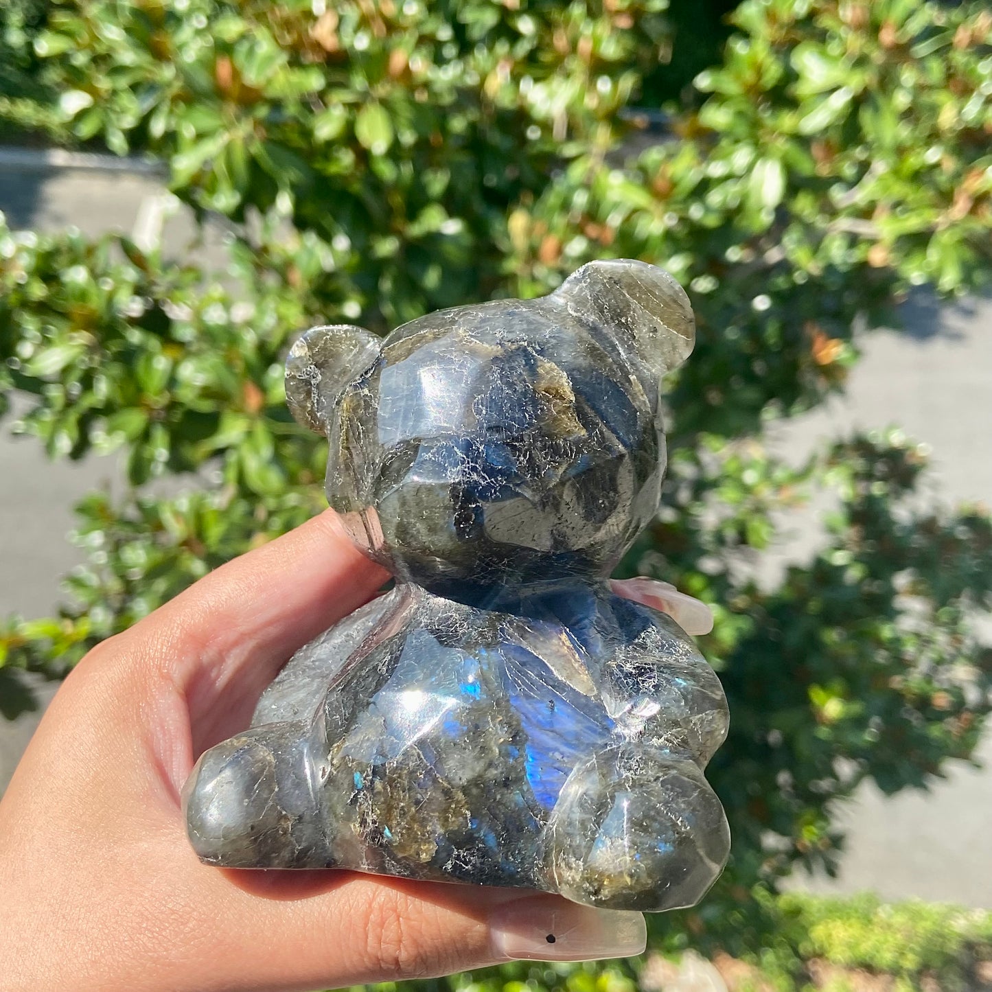 Labradorite Bear