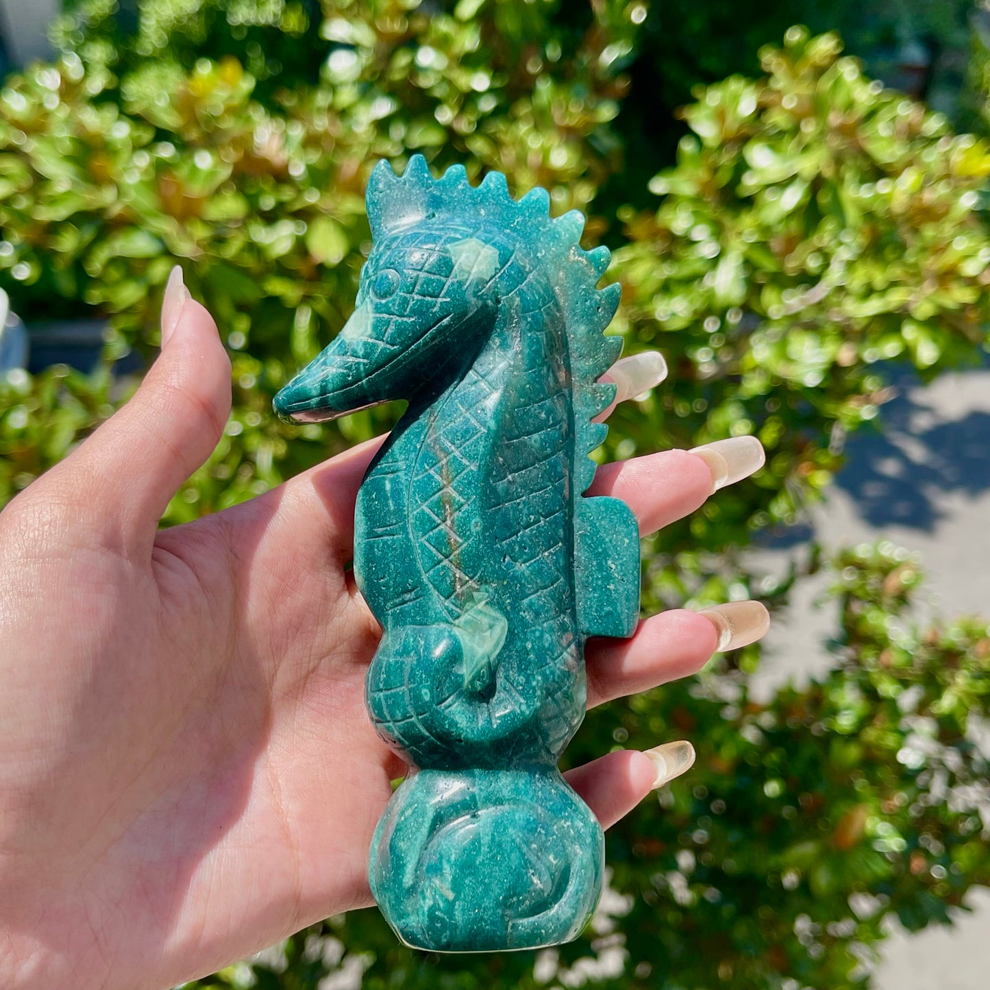 Ocean Jasper Seahorse