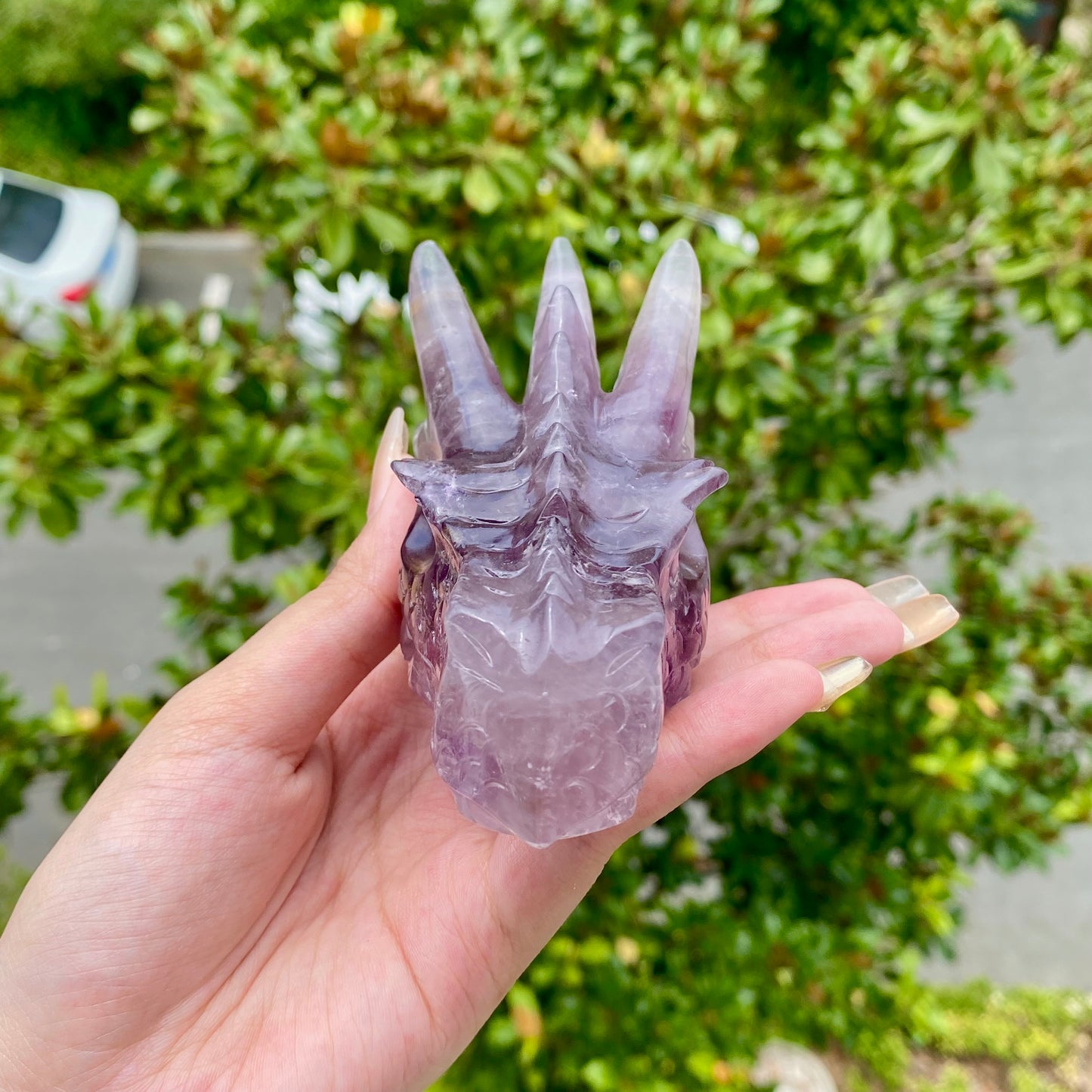 Fluorite Dragon Skull