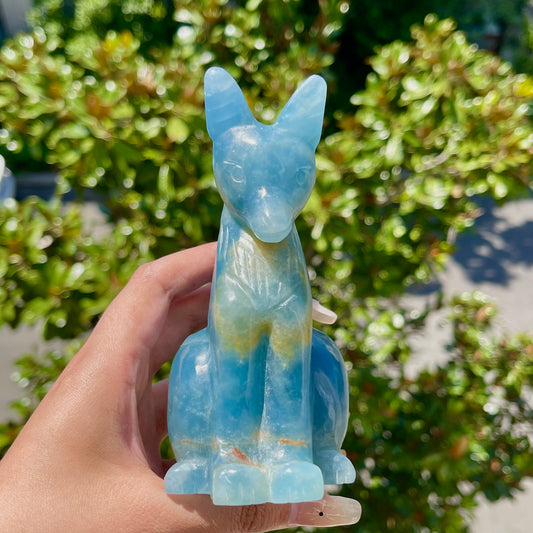 Blue Onyx Fox