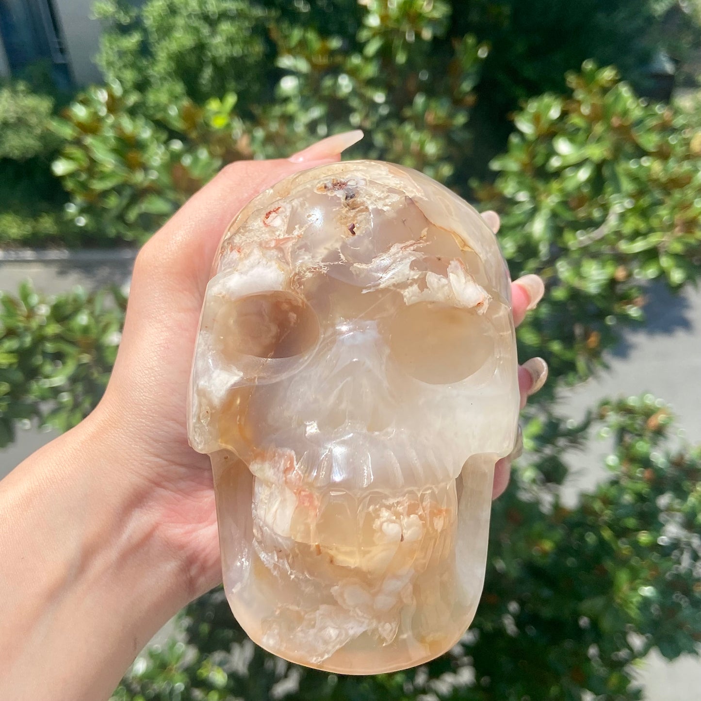 Flower Agate Skull