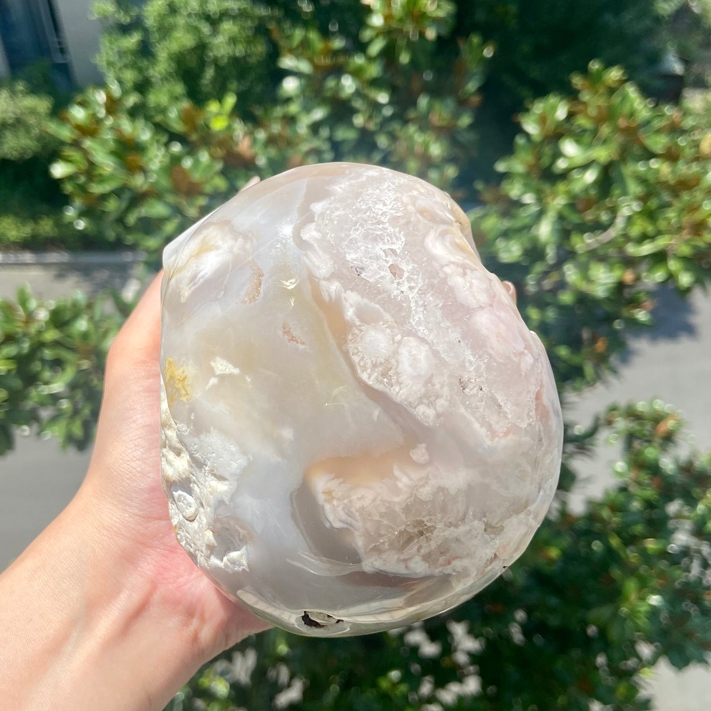 Flower Agate Skull