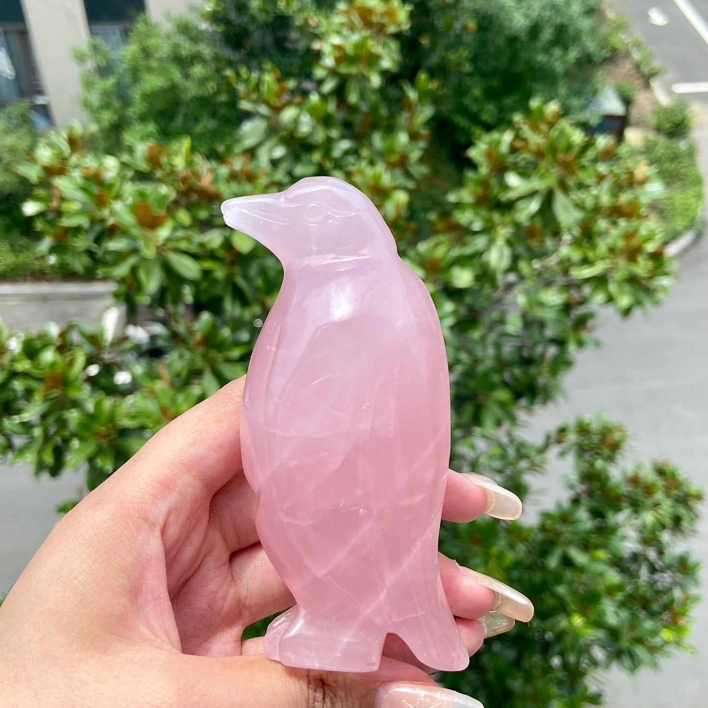 Rose Quartz Raven Crow