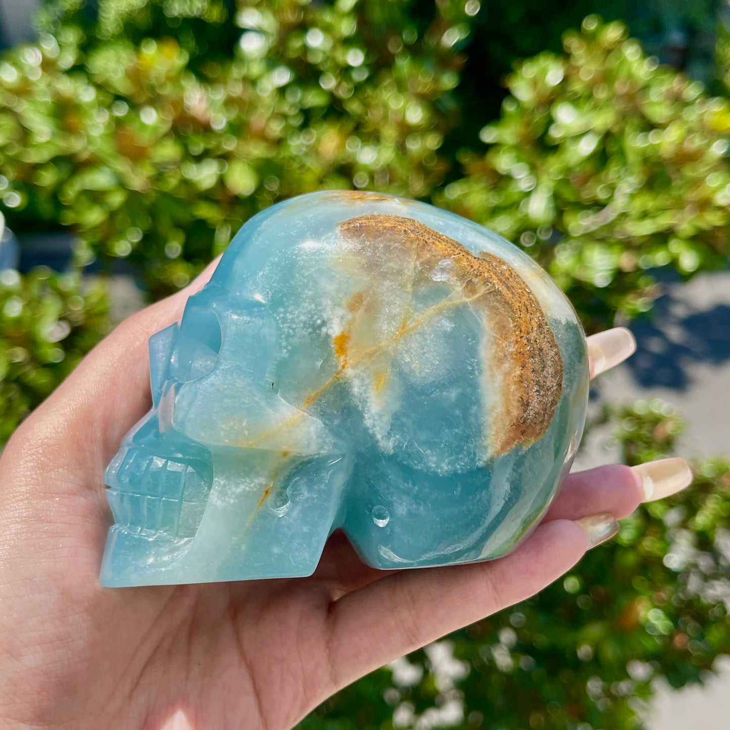 Blue Onyx Skull