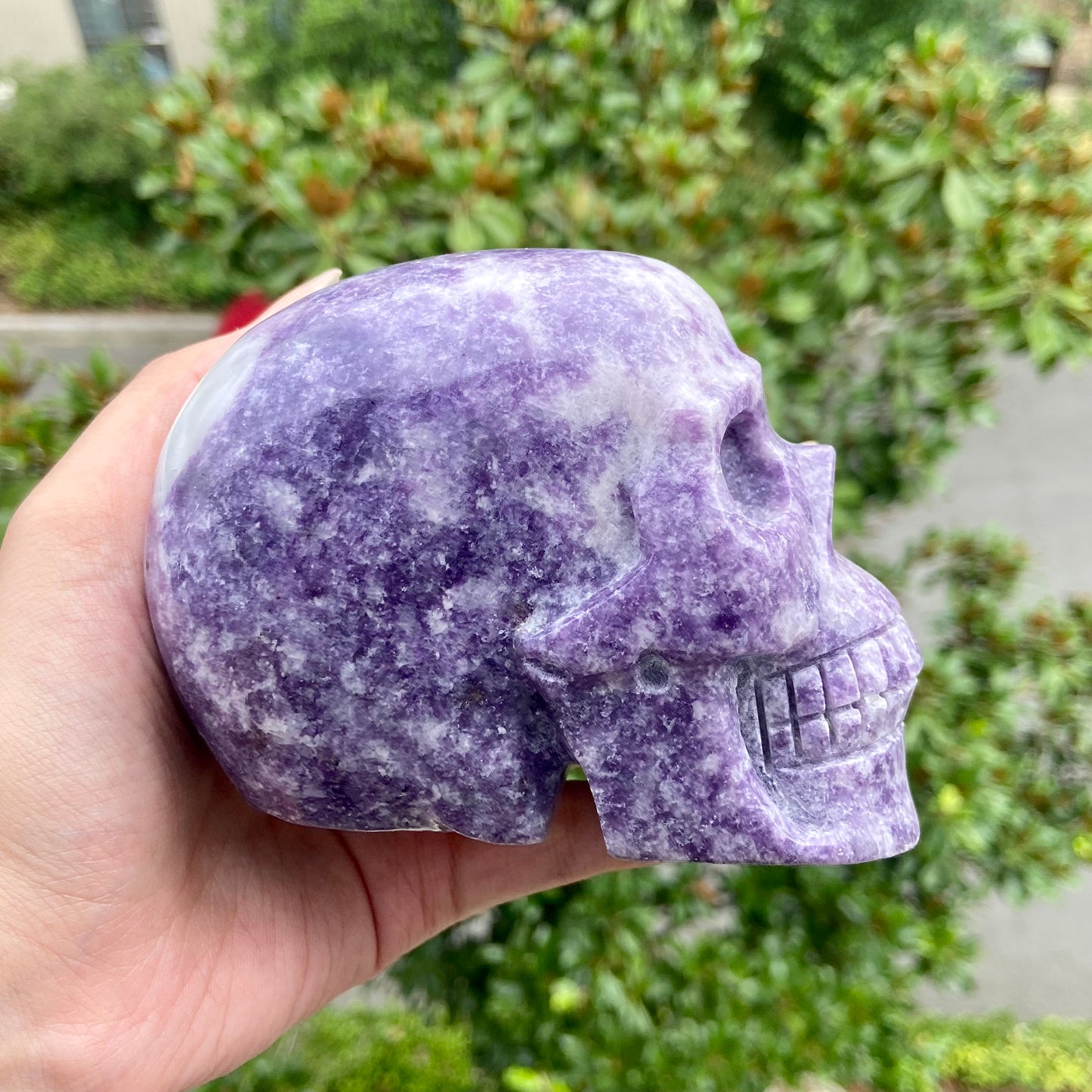 Purple Mica&Howlite Skull