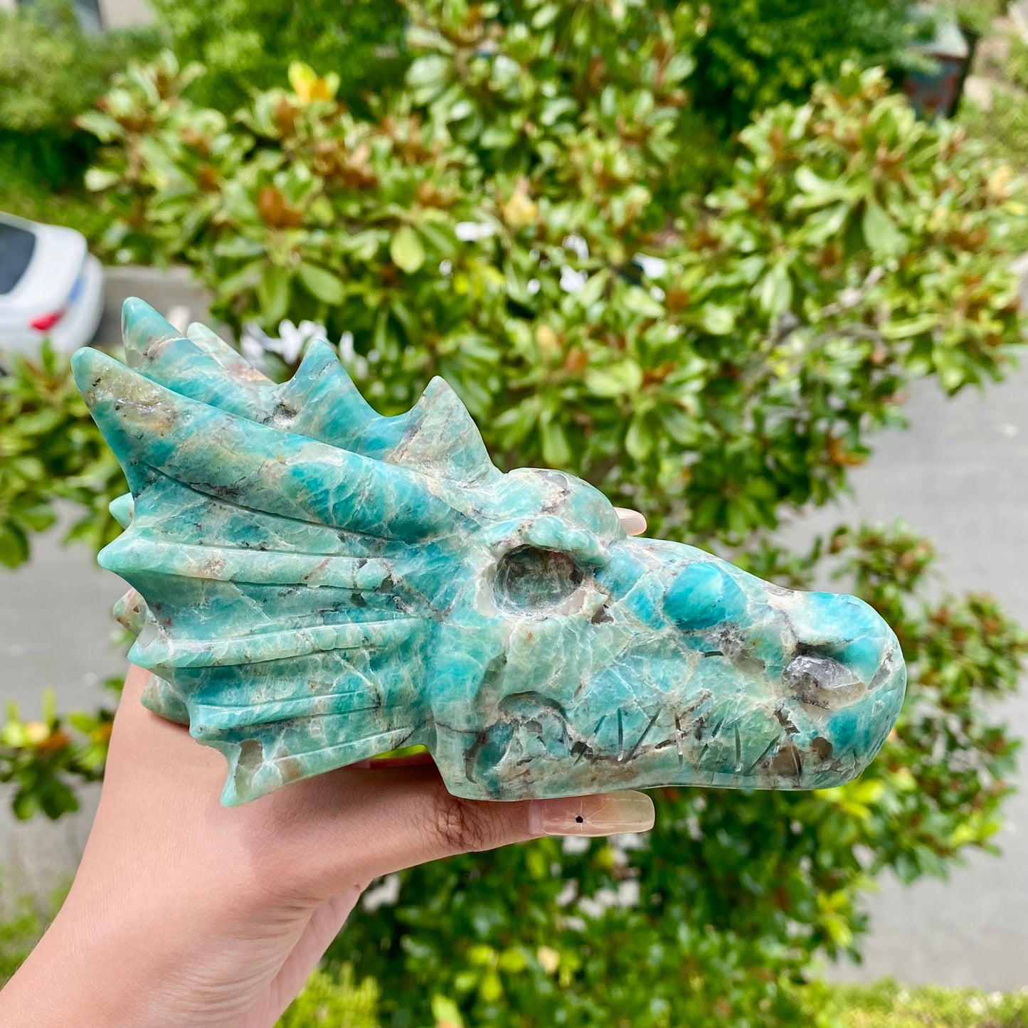 Amazonite Dragon Skull