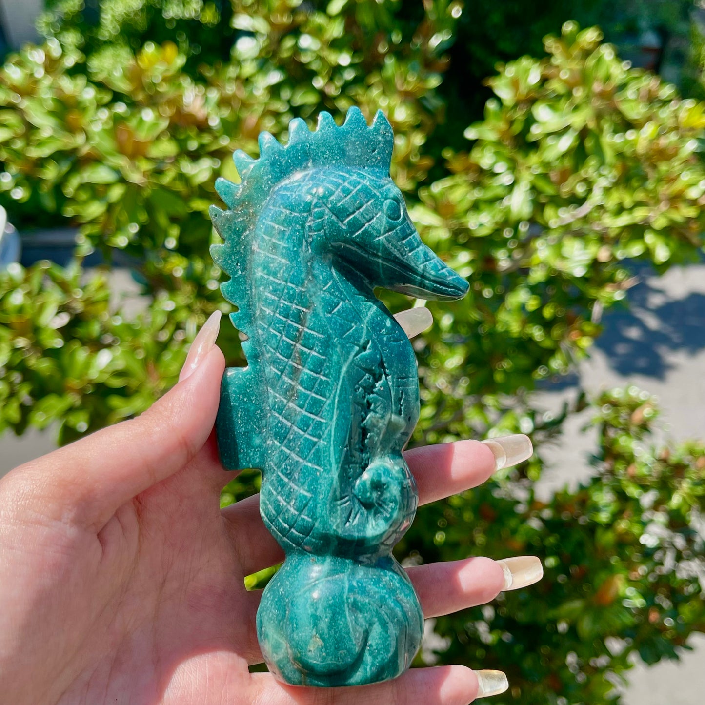 Ocean Jasper Seahorse