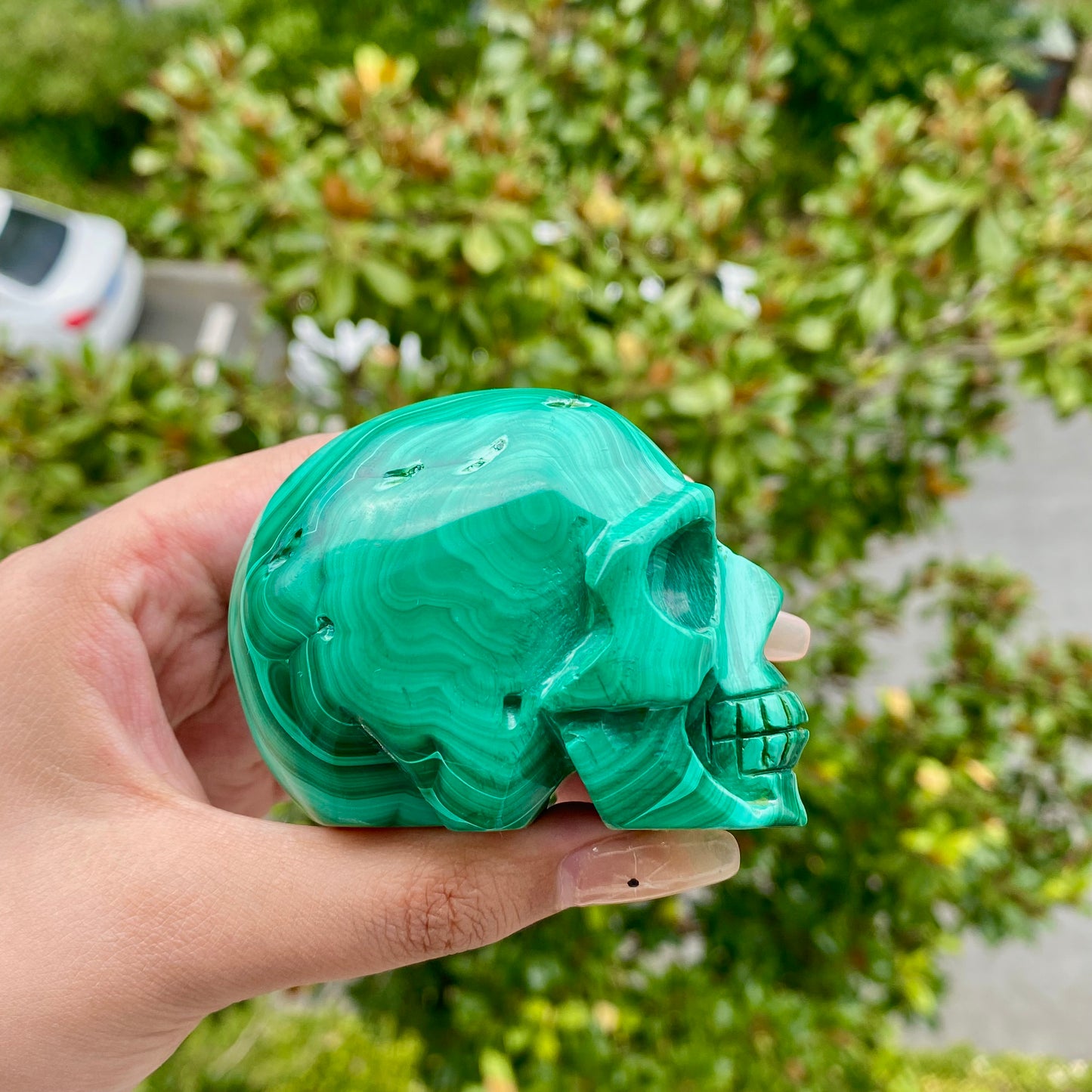 Malachite Skull