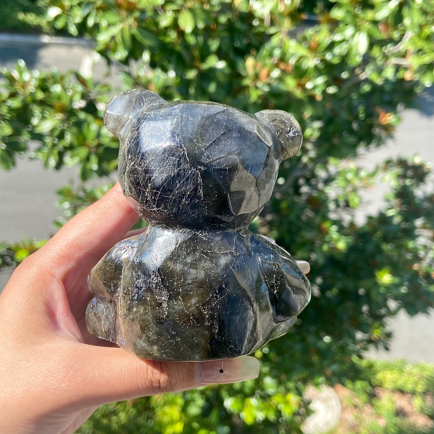 Labradorite Bear