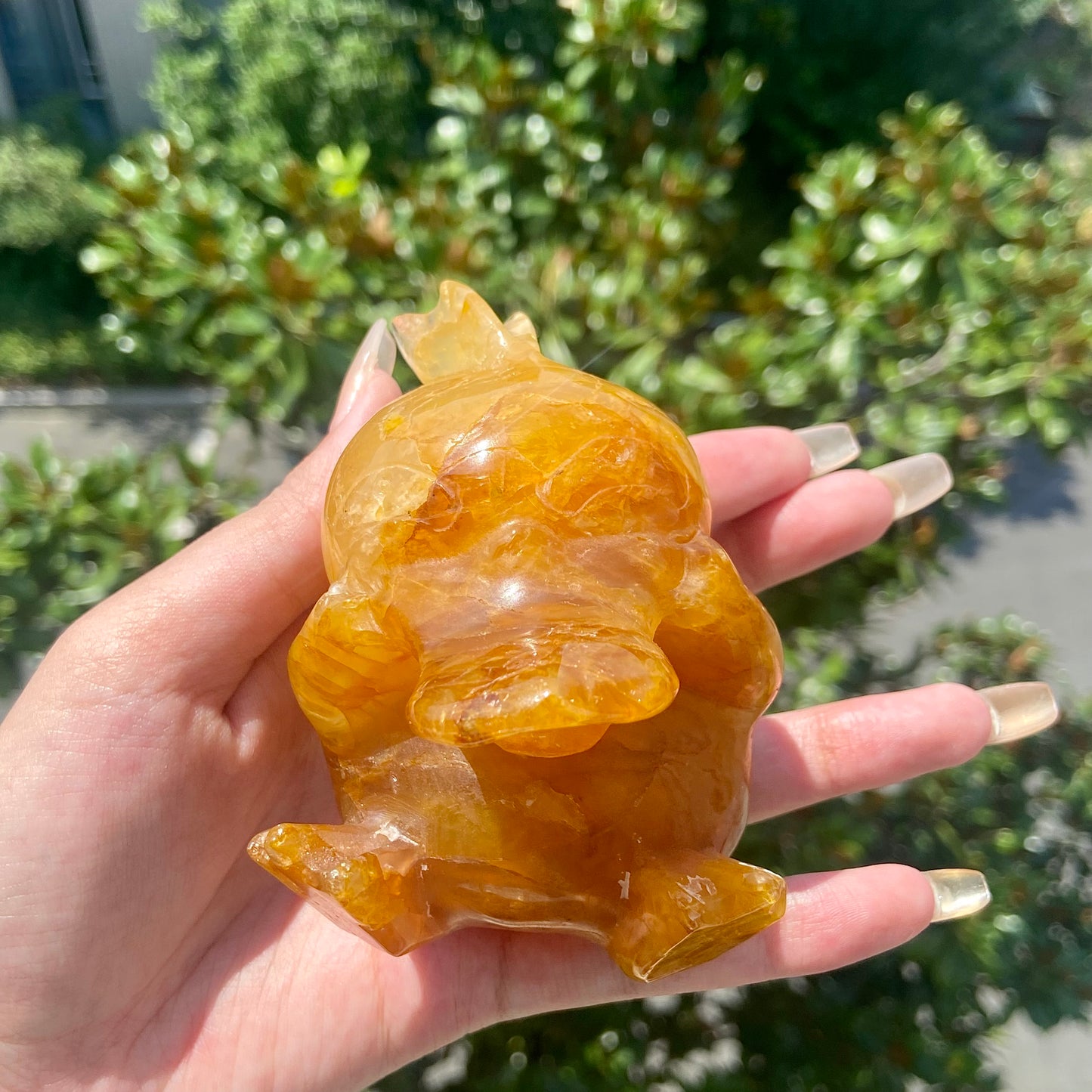 Golden Healer Quartz Psyduck