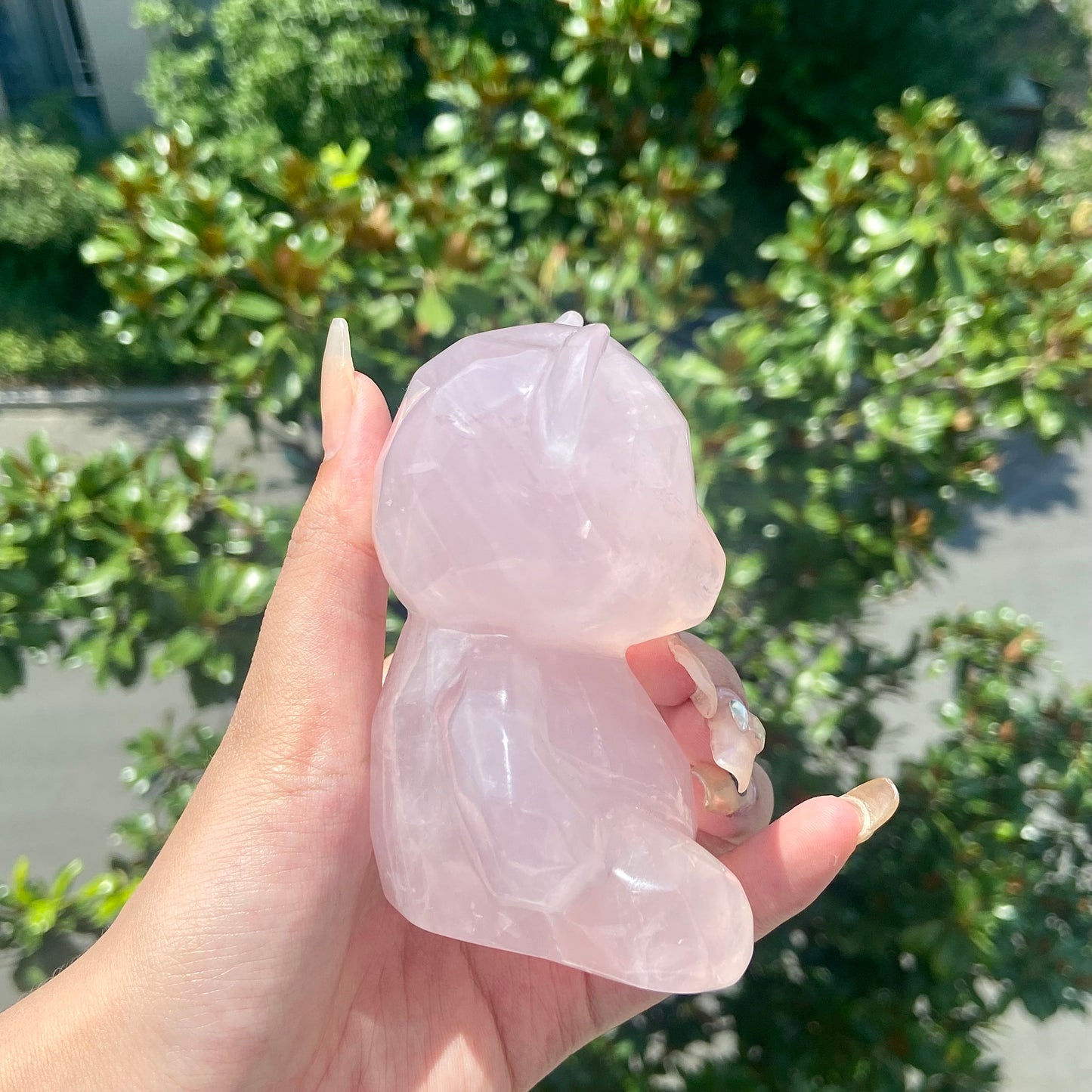 Rose Quartz Bear