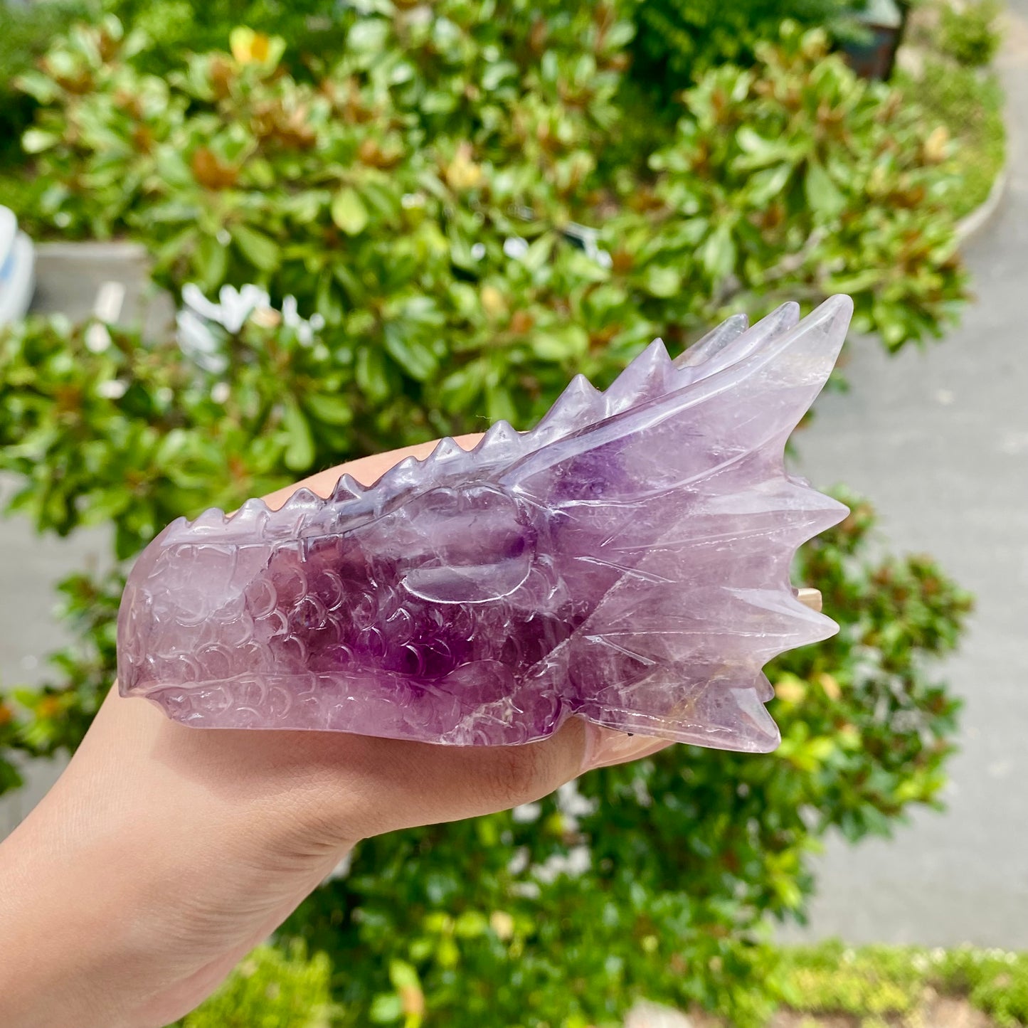 Fluorite Dragon Skull