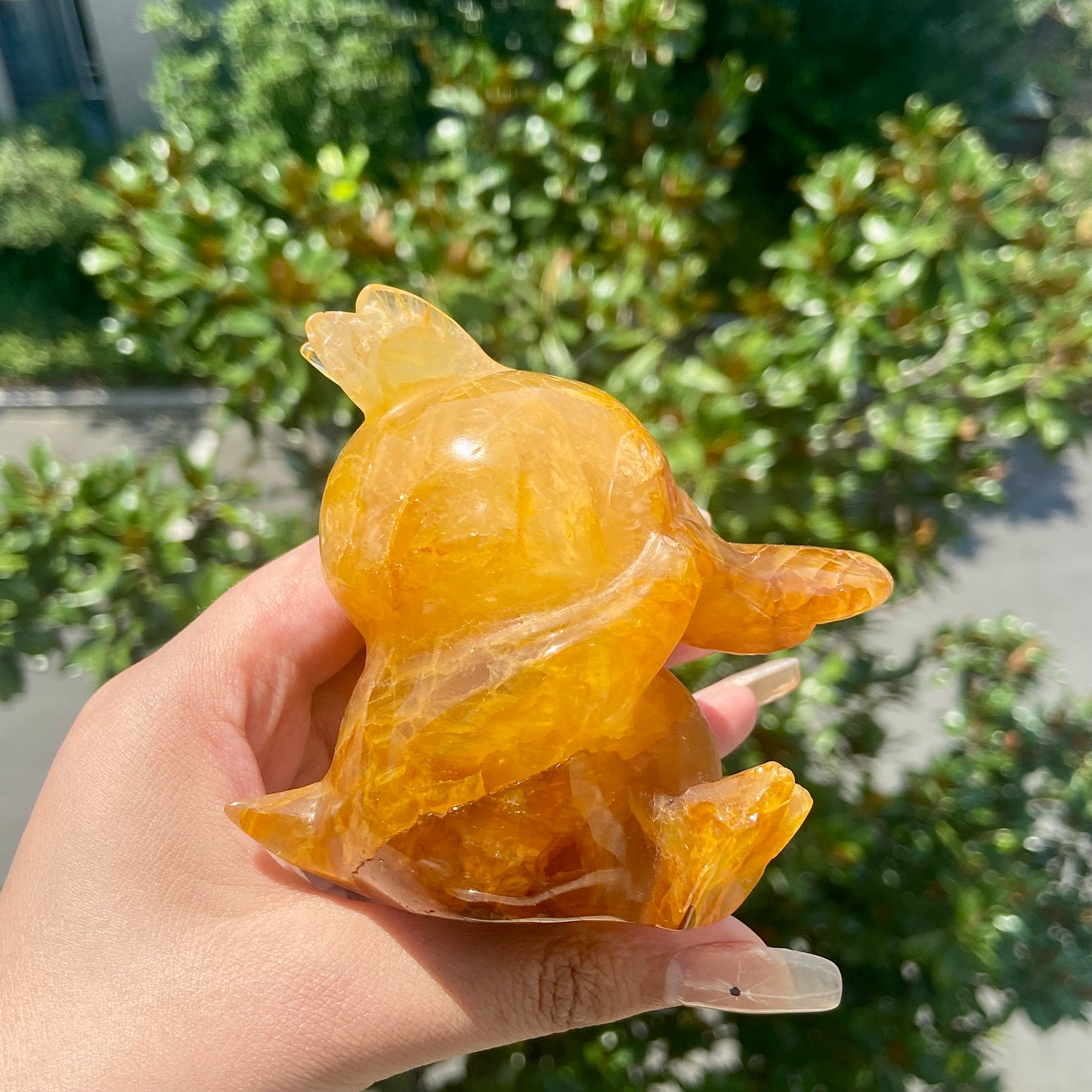 Golden Healer Quartz Psyduck