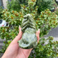 Xiuyan Jade Lion Crystal Animal Home Decor Office Decorations