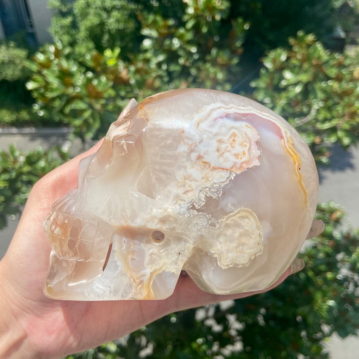 Flower Agate Skull