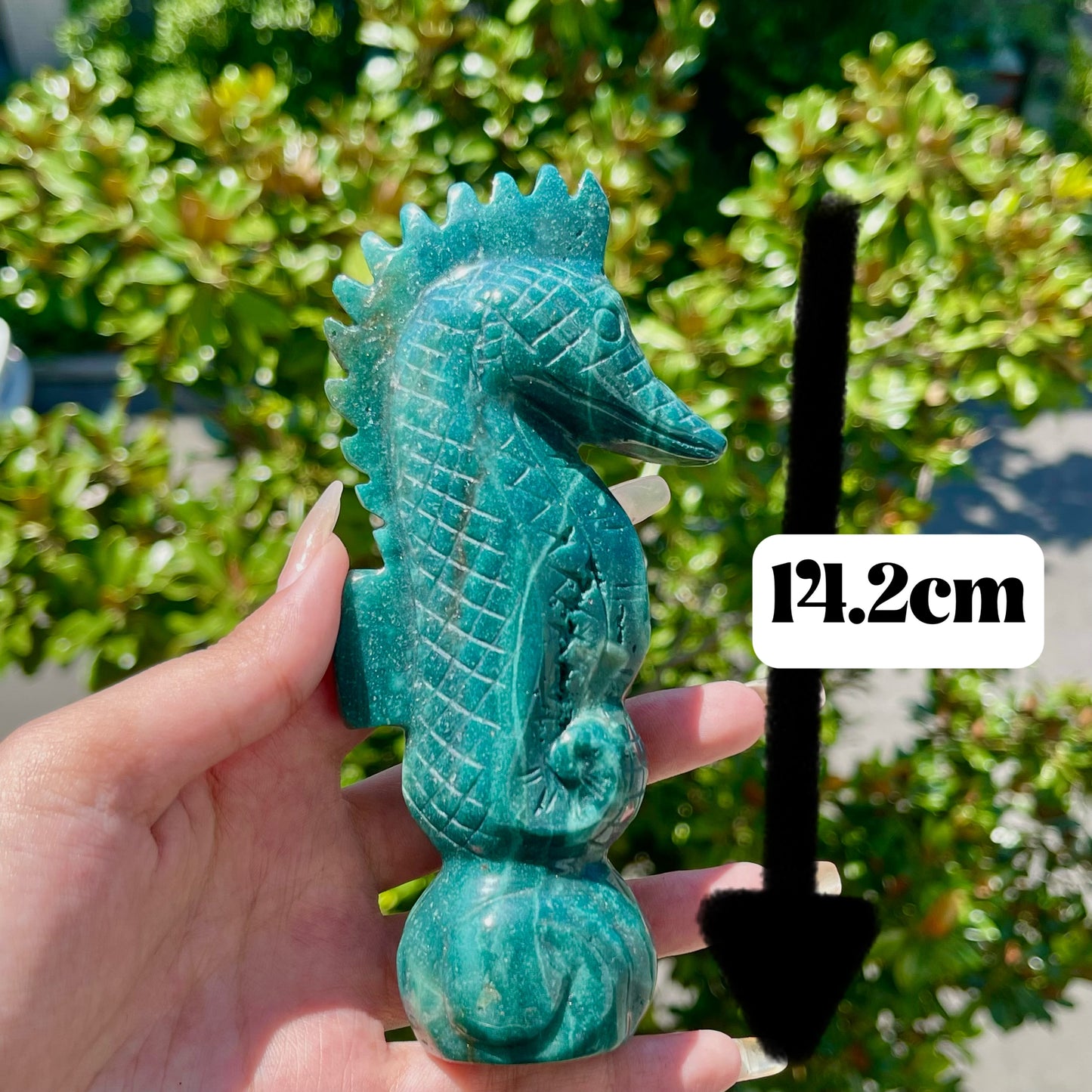 Ocean Jasper Seahorse