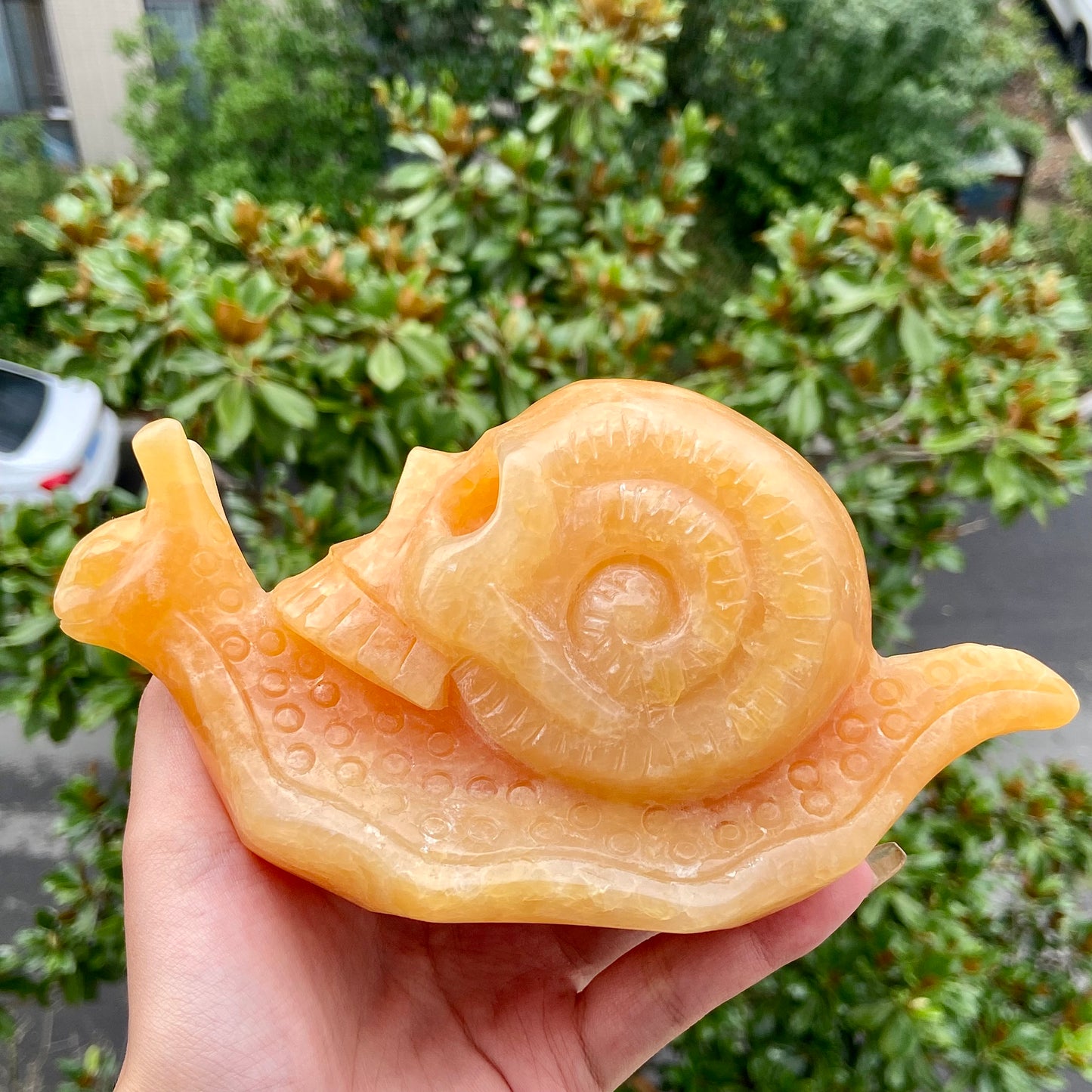 Hand Carved Orange Calcite Snail Skull Sculpture Home Decor