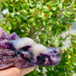 Fluorite Root Dragon Skull