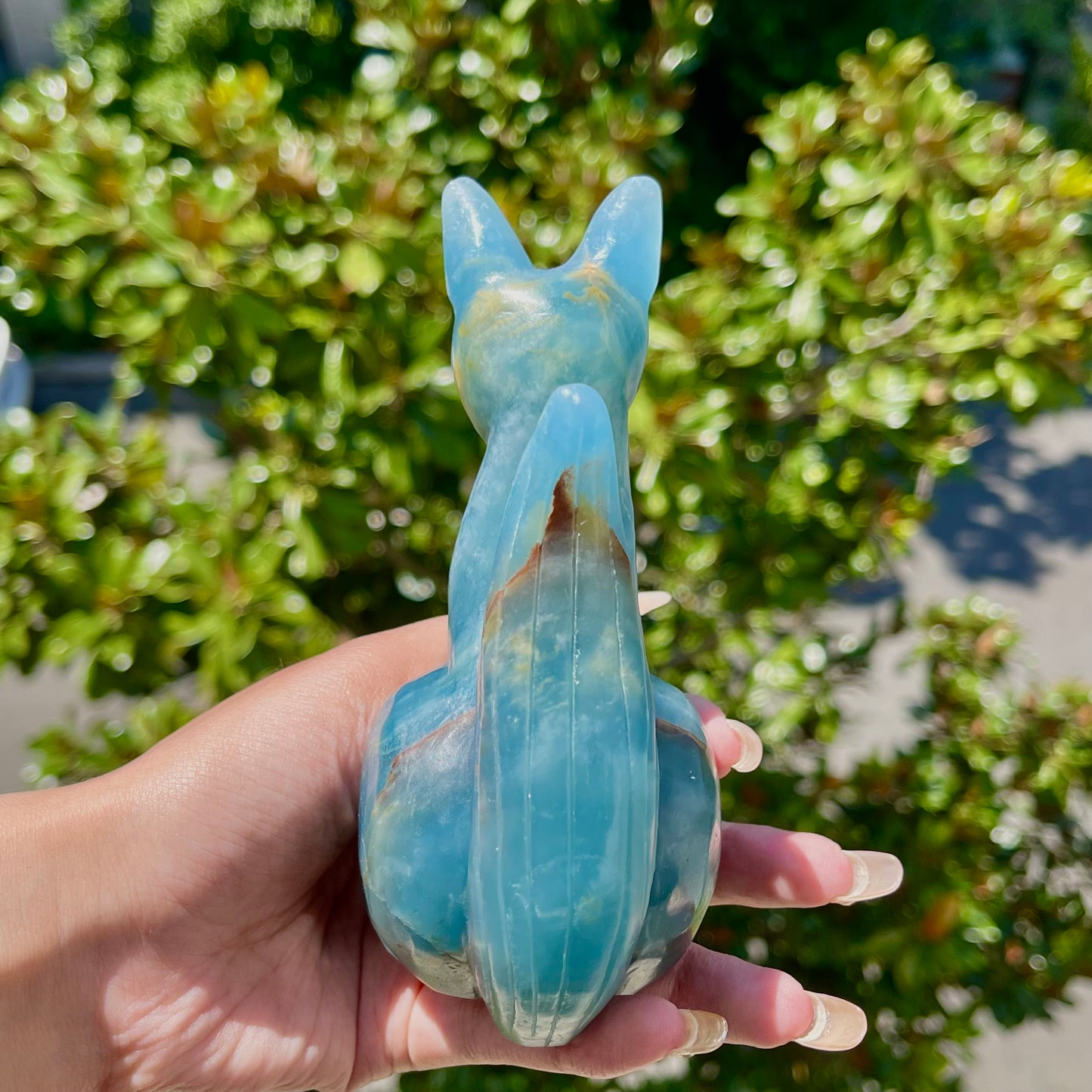 Blue Onyx Fox