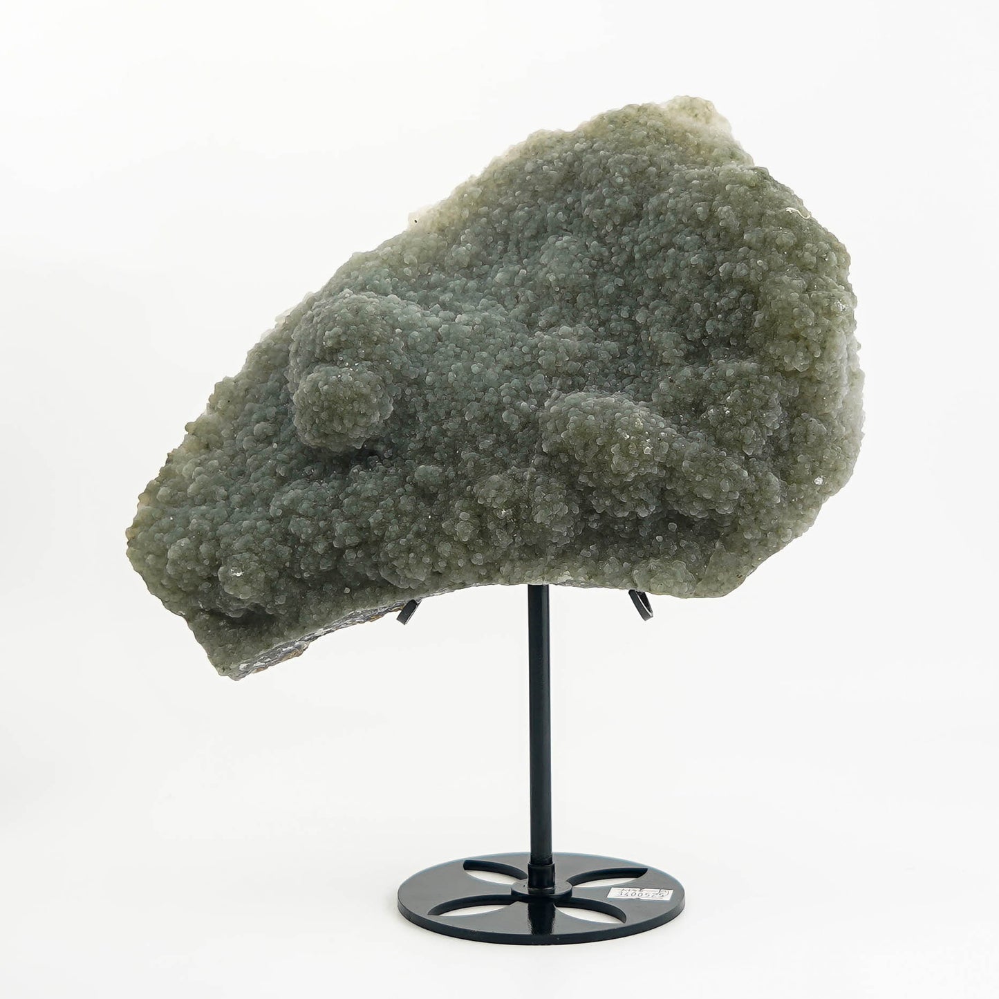 Phantom Quartz Specimen'THE JELLYFISH' For Home Ornament