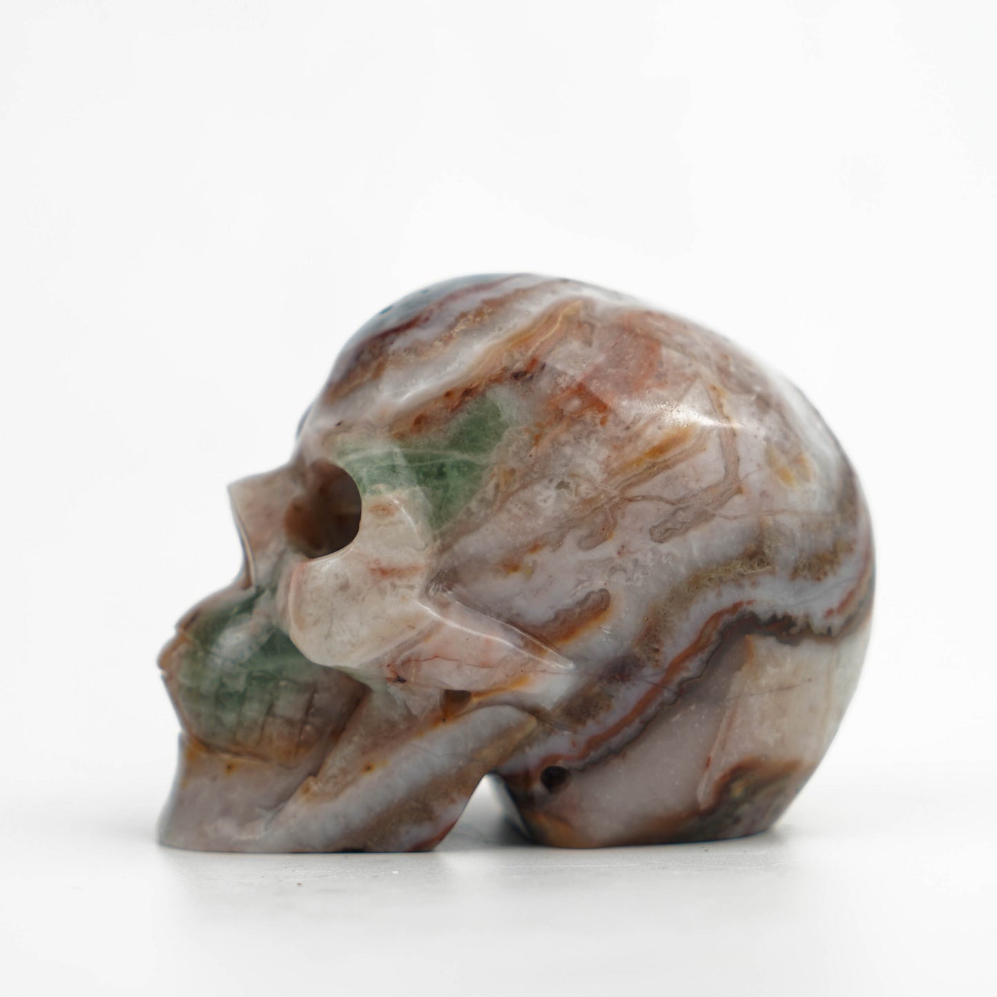 Agate Symbiosis Skull