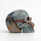 Agate Symbiosis Skull