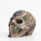 Agate Symbiosis Skull